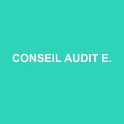 Logo Conseil Audit Expertise Comptable Patrimoine - Expert-comptable à Remire-Montjoly
