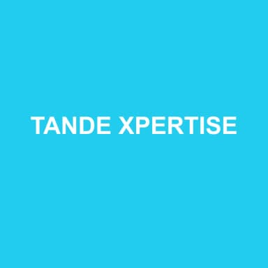 Logo de TANDE XPERTISE