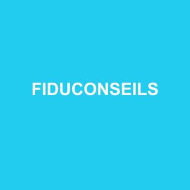 Logo de FIDUCONSEILS