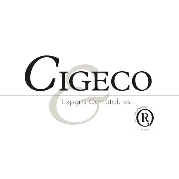 Centre D'informatique de Gestion et D'expertise Comptable du Centre-ouest - photo 2