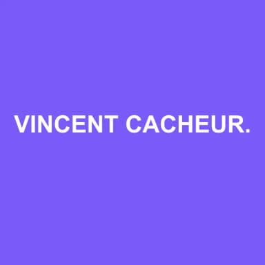 Logo de VINCENT CACHEUR CONSEILS