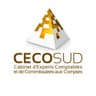 CECOSUD HOLDING