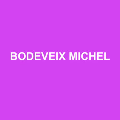 Logo de BODEVEIX MICHEL