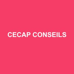 Logo Cecap Conseils - Expert-comptable à Saint-Fargeau-Ponthierry