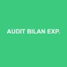 AUDIT BILAN EXPERTISE CONSEIL