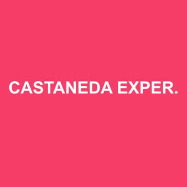 Logo de CASTANEDA EXPERTISE