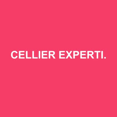 Logo de CELLIER EXPERTISE & CONSEIL