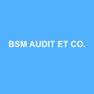 Logo de BSM AUDIT ET CONSEIL