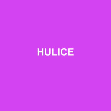 Logo de HULICE