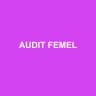 AUDIT FEMEL