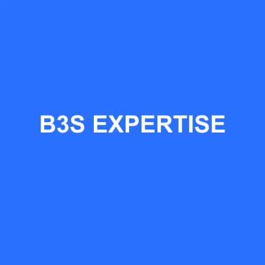 Logo de B3S EXPERTISE