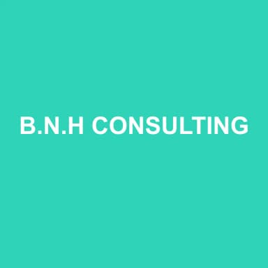 Logo de B.N.H CONSULTING