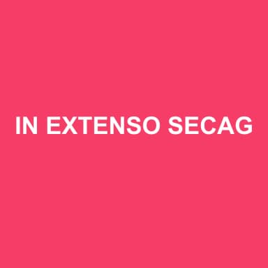 Logo de IN EXTENSO SECAG