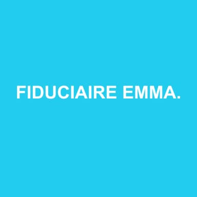 Logo de FIDUCIAIRE EMMANUEL MICHEL