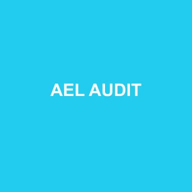 Logo de AEL AUDIT