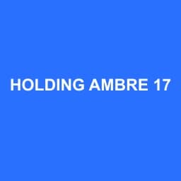 Logo Holding Ambre 17 - Expert-comptable à Puilboreau
