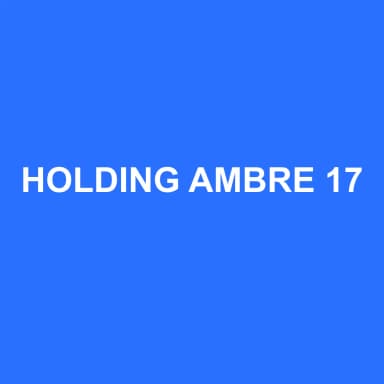 Logo de HOLDING AMBRE 17