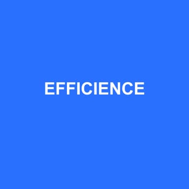 Logo de EFFICIENCE