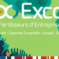 Exco Languedoc - photo 2