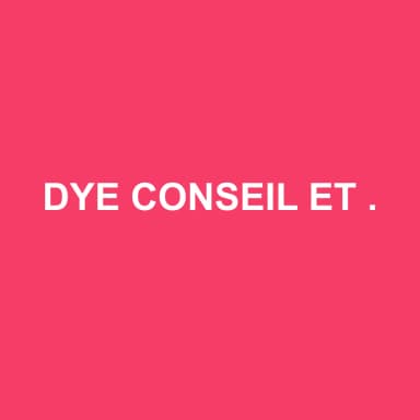 Logo de DYE CONSEIL ET ACCOMPAGNEMENT