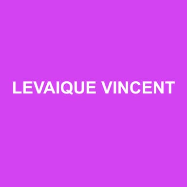 Logo de LEVAIQUE VINCENT