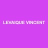 LEVAIQUE VINCENT