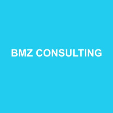 Logo de BMZ CONSULTING