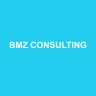 BMZ CONSULTING