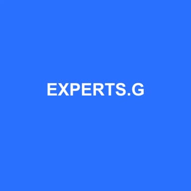 Logo de EXPERTS.G