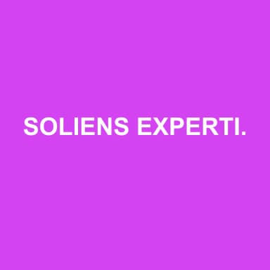 Logo de SOLIENS EXPERTISE