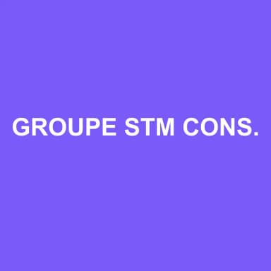Logo de GROUPE STM CONSEIL ET ASSOCIES