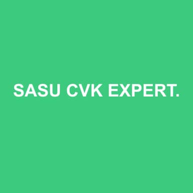 Logo de SASU CVK EXPERTISE CONSEIL AUDIT