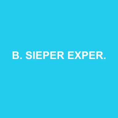 Logo de B. SIEPER EXPERTISE CONSEIL