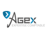 AGEX EXPERTISE ET CONSEIL