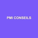 Logo PMI CONSEILS