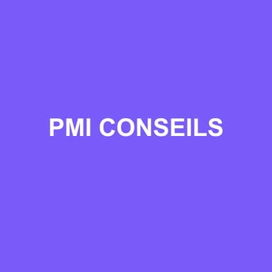 Logo de PMI CONSEILS