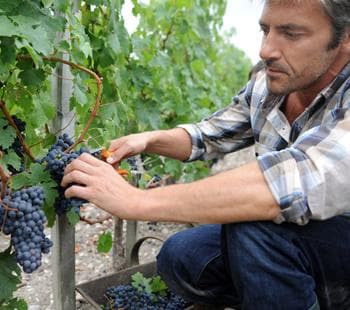 Agc Association Champenoise de Gestion et de Comptabilite Ag2c - photo 3