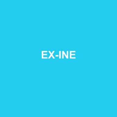 Logo de EX-INE