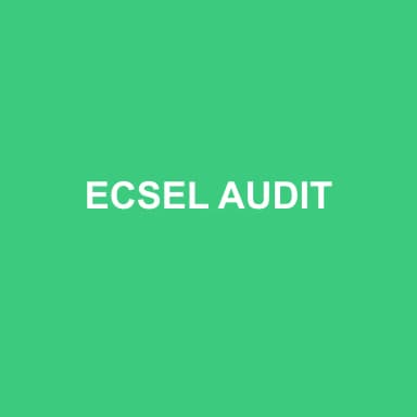 Logo de ECSEL AUDIT