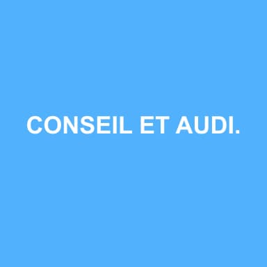 Logo de CONSEIL ET AUDIT MOI