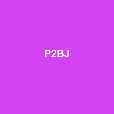 Logo de P2BJ