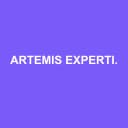 Logo ARTEMIS EXPERTISE COMPTABLE