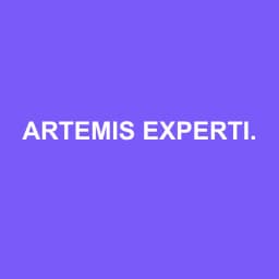 Logo Artemis Expertise Comptable - Expert-comptable à Saint-Grégoire