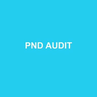 Logo de PND AUDIT