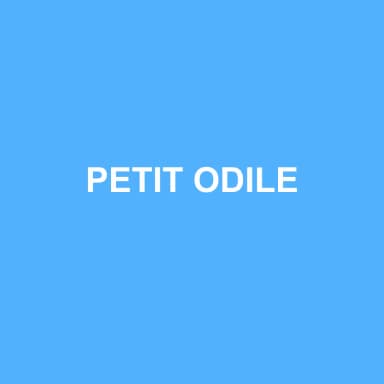 Logo de PETIT ODILE