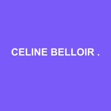 Logo de CELINE BELLOIR EXPERTISE