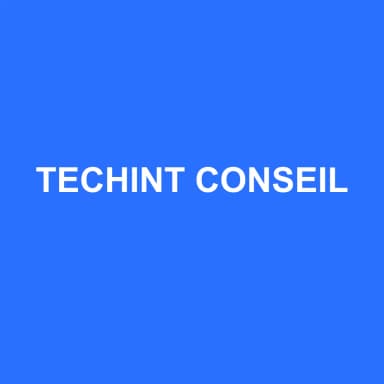 Logo de TECHINT CONSEIL