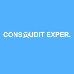 Logo de CONS@UDIT EXPERTS SOCIETE D'EXPERTISE COMPTABLE