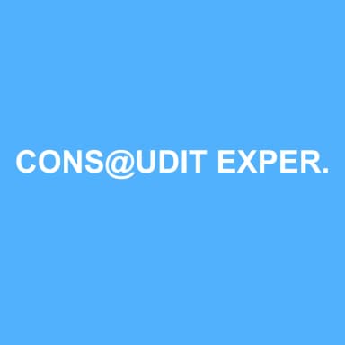 Logo de CONS@UDIT EXPERTS SOCIETE D'EXPERTISE COMPTABLE