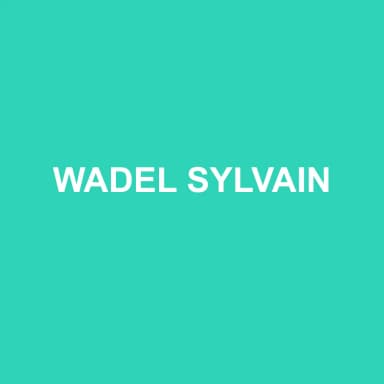 Logo de WADEL SYLVAIN